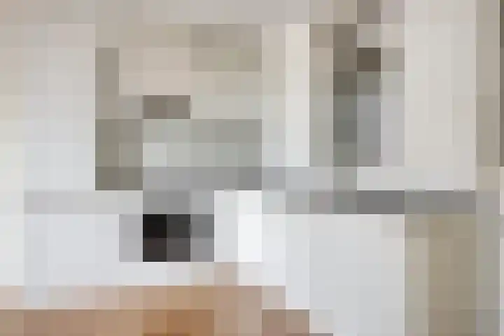 Meent 11 Horst thumbnail 10
