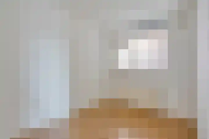 Meent 11 Horst thumbnail 14