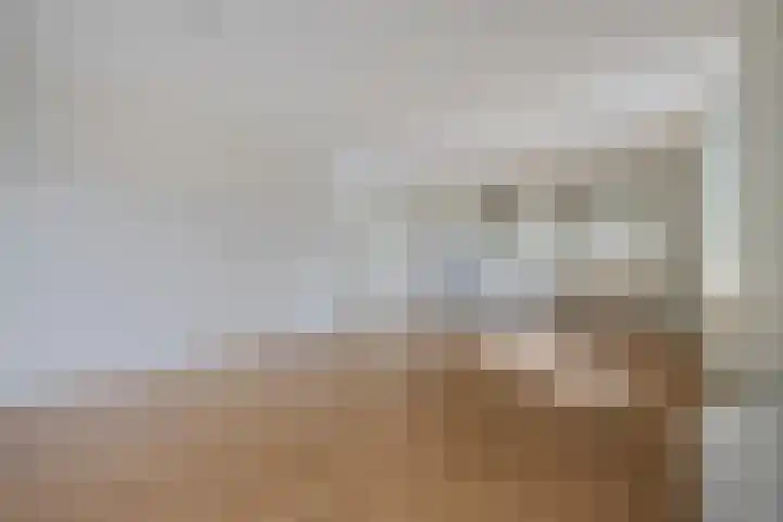 Meent 11 Horst thumbnail 8