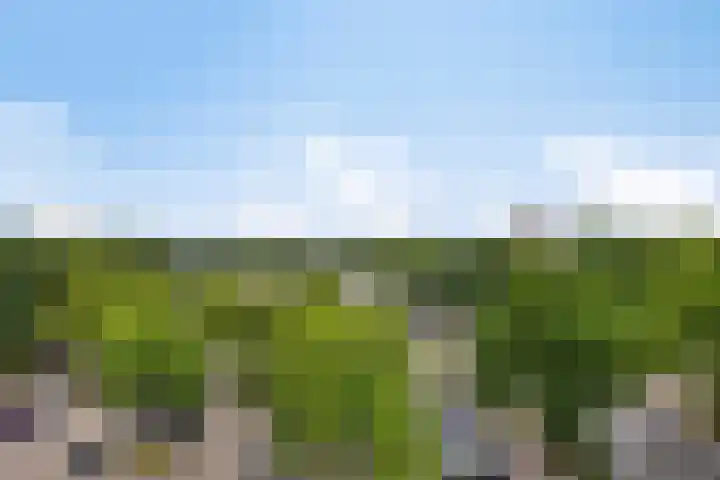 Meent 11 Leerdam thumbnail 7
