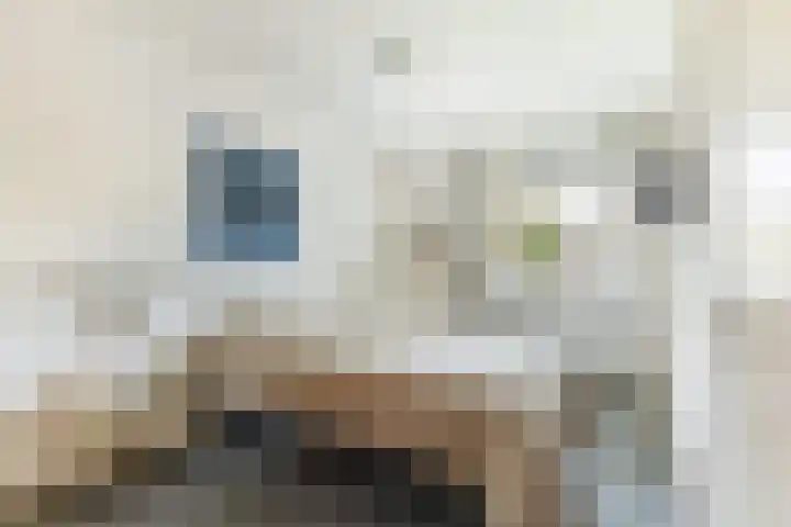 Meent 20 Zeist thumbnail 16