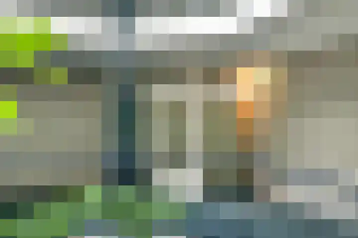 Meent 20 Zeist thumbnail 22