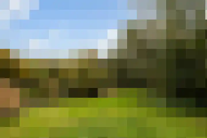 Meent 20 Zeist thumbnail 28