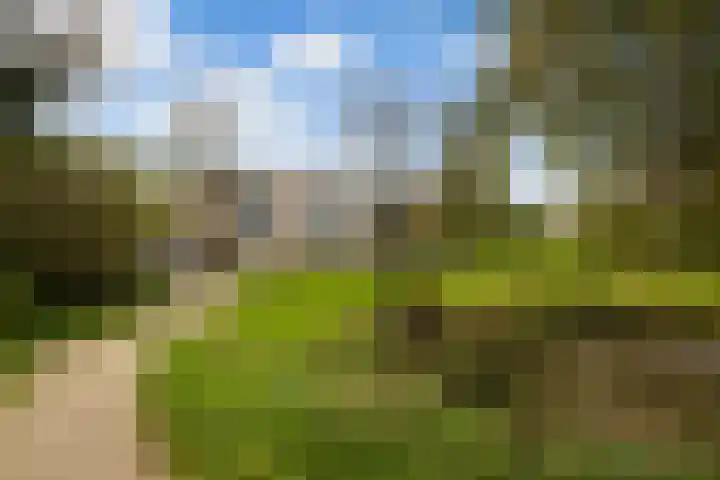 Meent 20 Zeist thumbnail 29