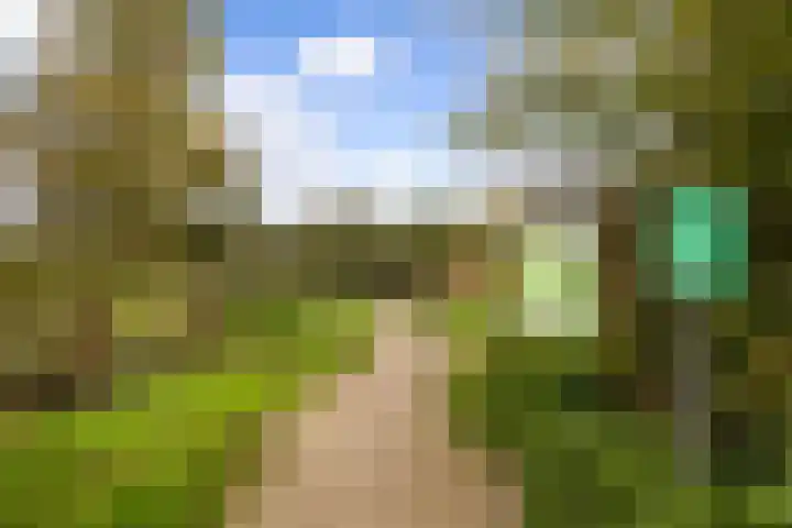 Meent 20 Zeist thumbnail 30