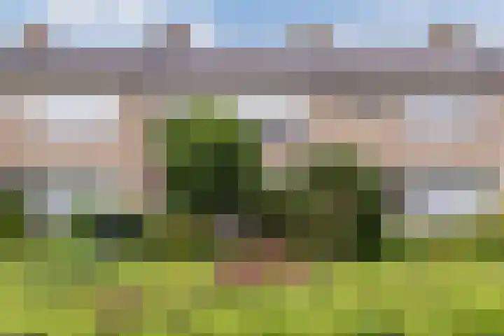 Meent 235 Breda thumbnail 29