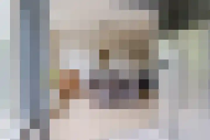 Meent 235 Breda thumbnail 5