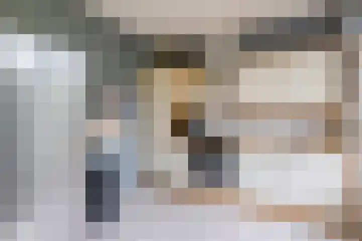 Meent 235 Breda thumbnail 6
