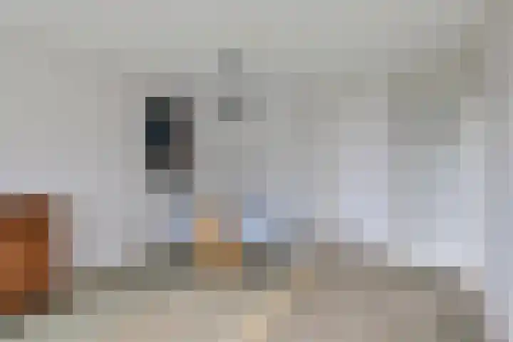 Meent 42 Norg thumbnail 13