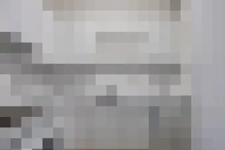 Meent 42 Norg thumbnail 14
