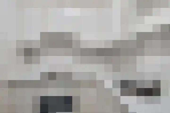 Meent 42 Norg thumbnail 15