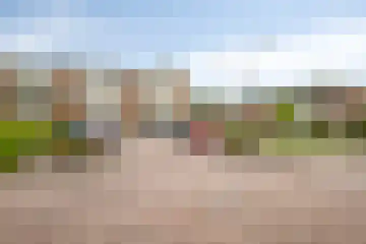 Meent 42 Norg foto 2
