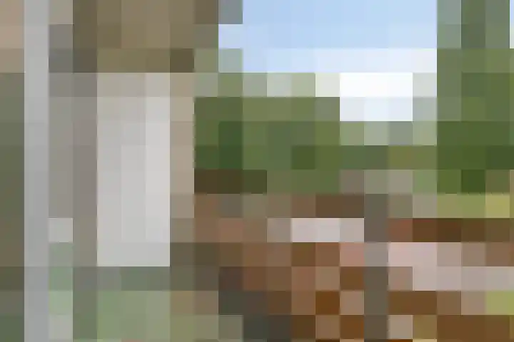 Meent 42 Norg thumbnail 22