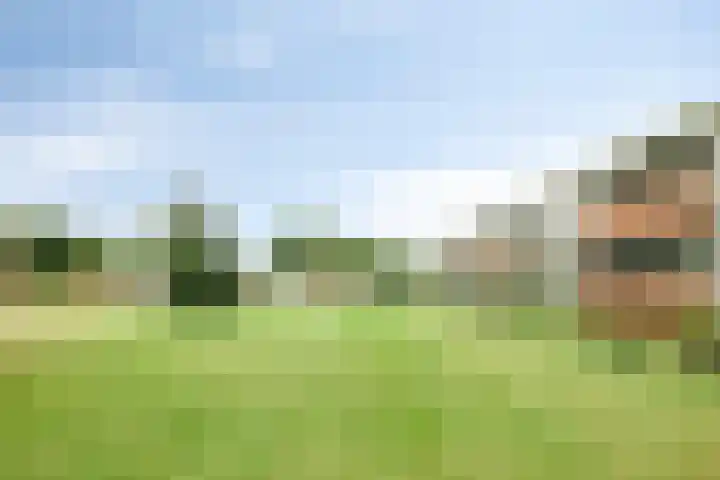 Meent 42 Norg thumbnail 25