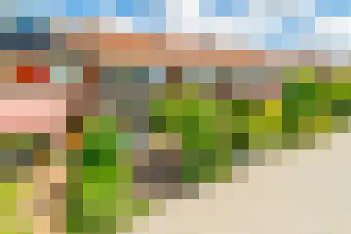 Meent 42 Norg thumbnail 26