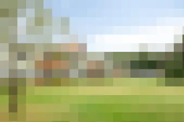 Meent 42 Norg thumbnail 27