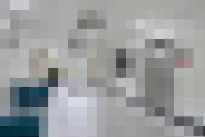 Meent 42 Norg thumbnail 4