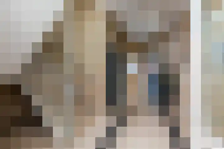 Meent 42 Papendrecht thumbnail 12