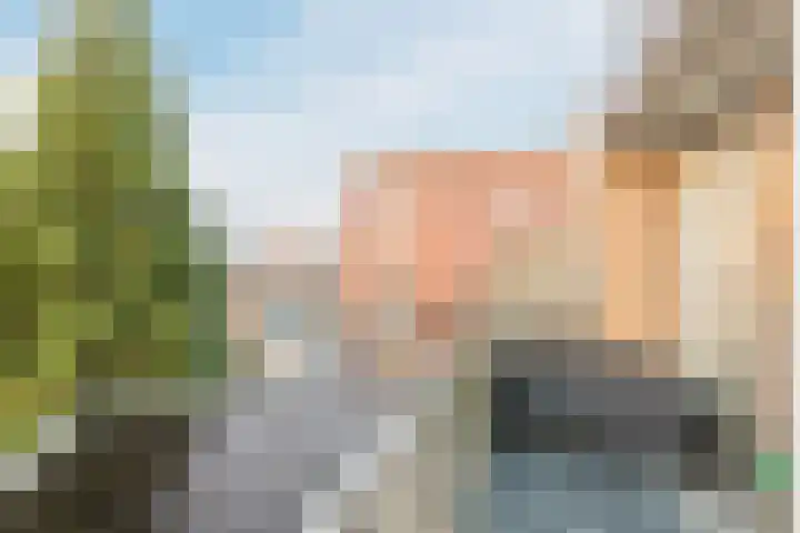 Meent 42 Papendrecht thumbnail 14