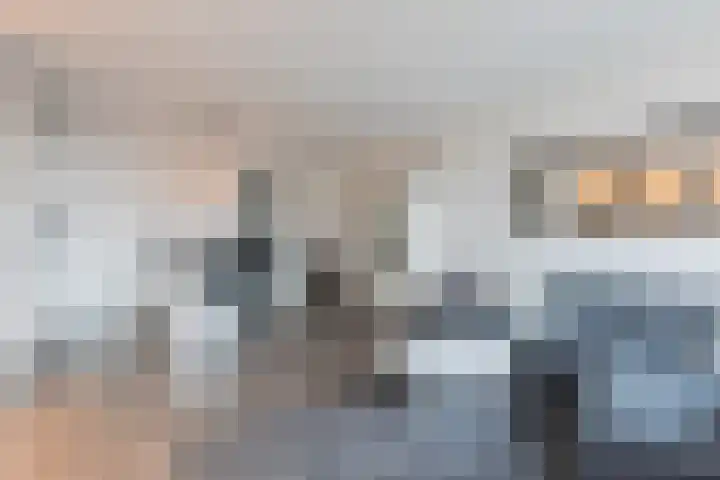 Meent 42 Papendrecht thumbnail 4