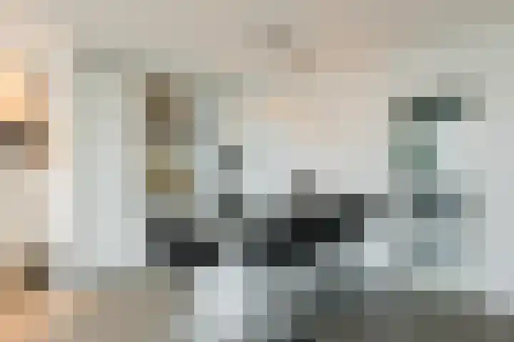 Meent 42 Papendrecht thumbnail 5