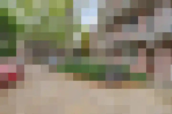 Meent 7 Horst thumbnail 20