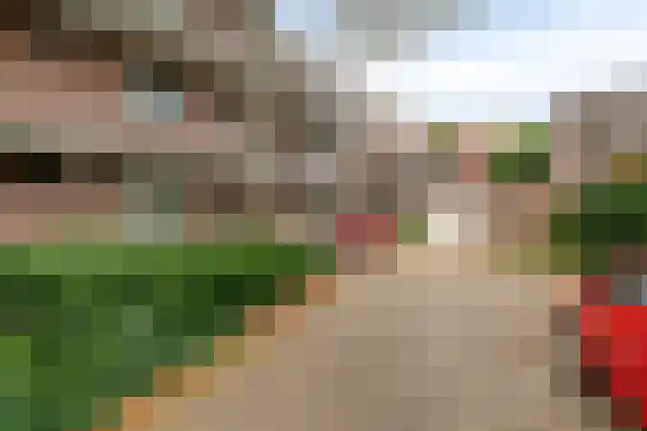 Meent 7 Horst thumbnail 22