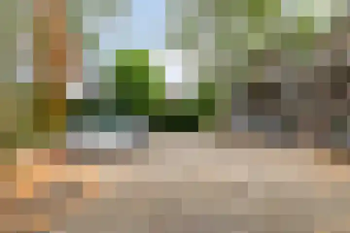 Meent 7 Horst thumbnail 23