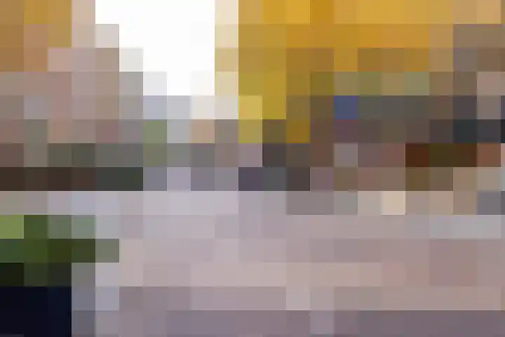 Meent 83 E Rotterdam thumbnail 23