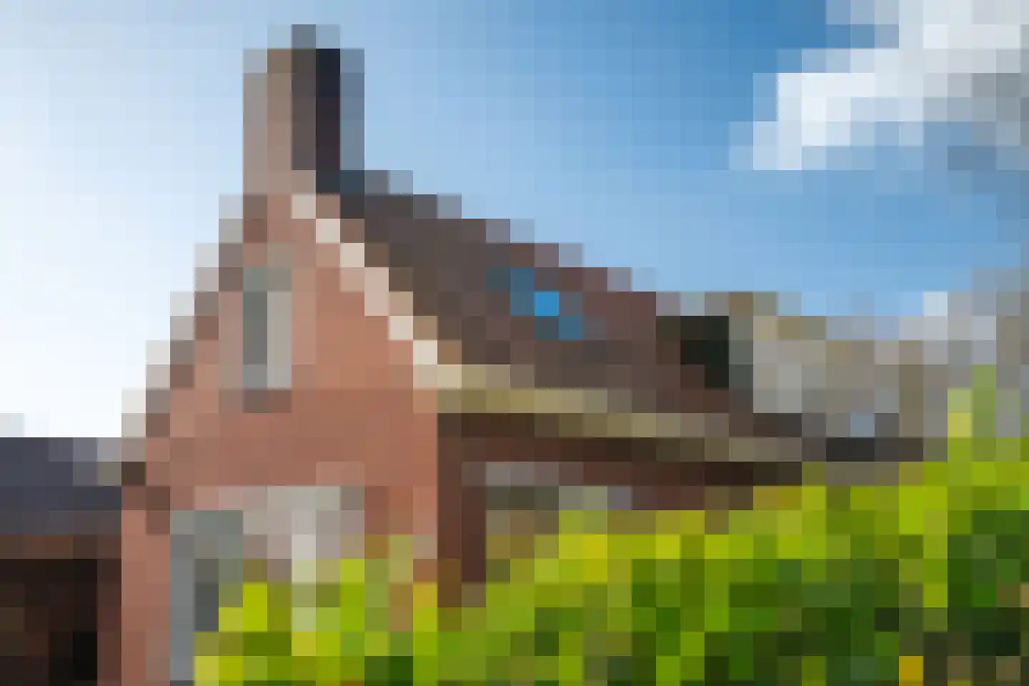 Meenteweg 42 Schildwolde thumbnail 10