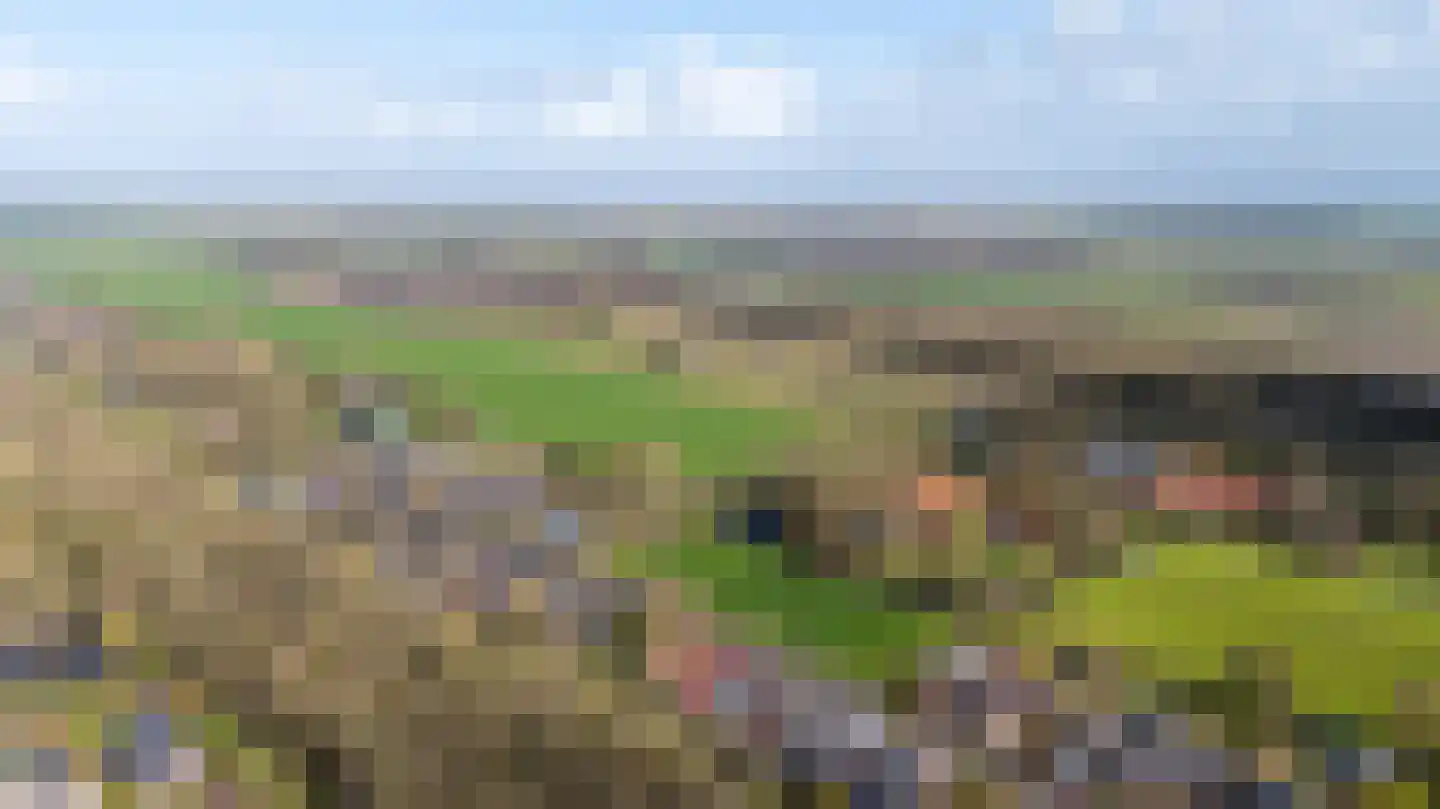 Meenteweg 42 Schildwolde thumbnail 11