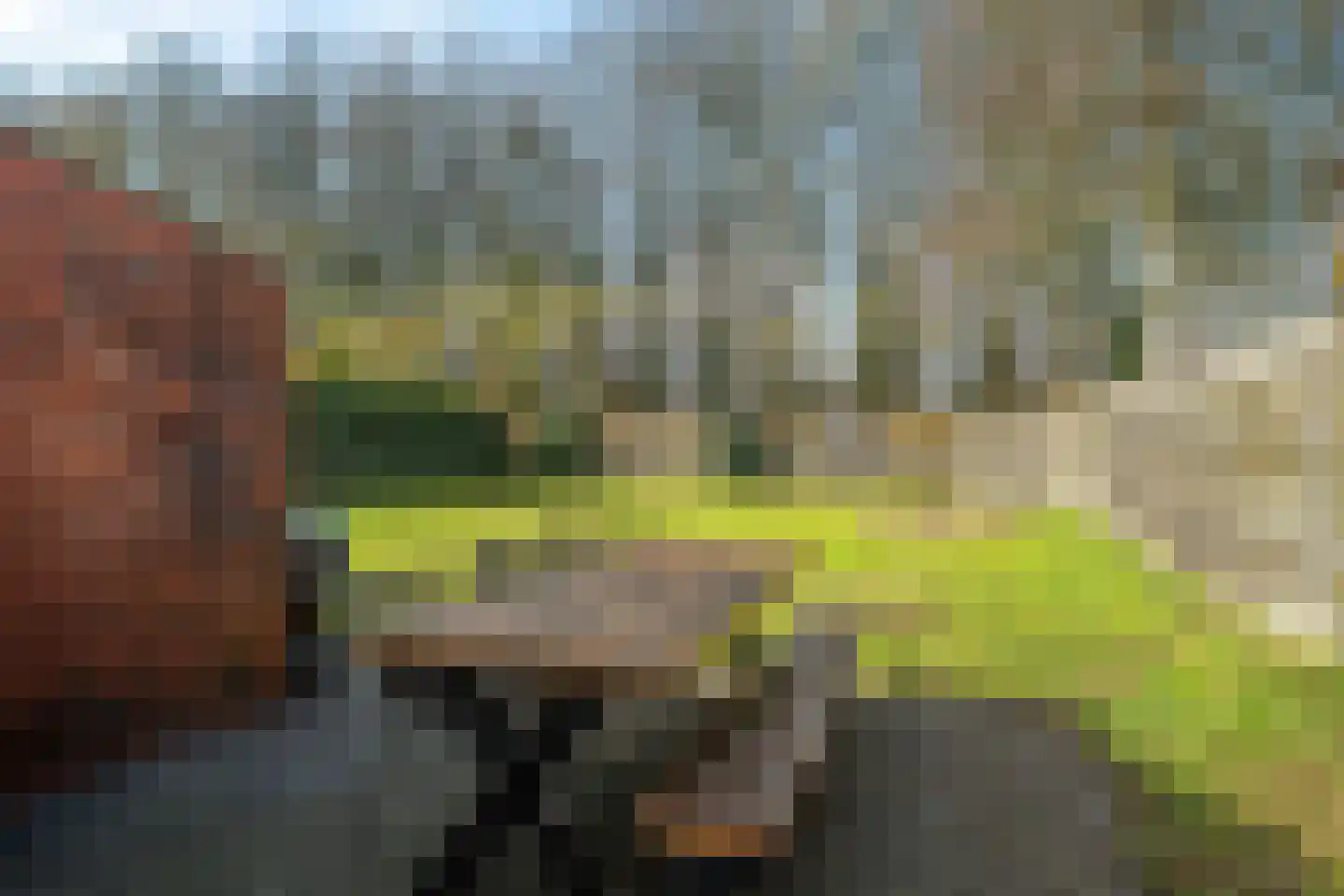 Meenteweg 42 Schildwolde thumbnail 40