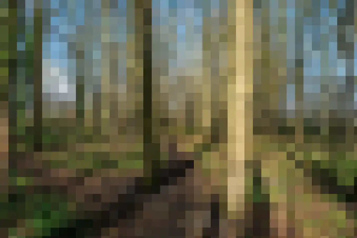 Meenteweg 42 Schildwolde thumbnail 47