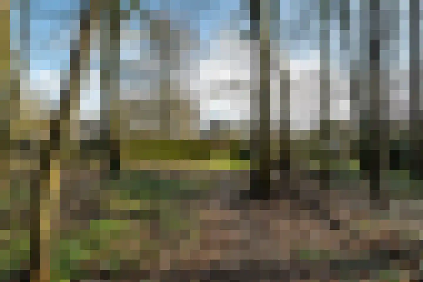 Meenteweg 42 Schildwolde thumbnail 48