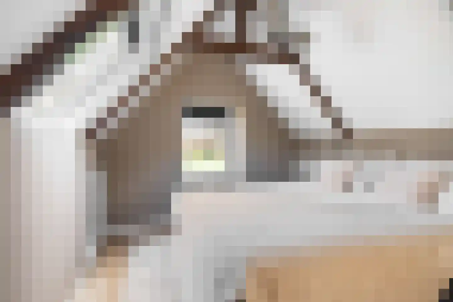 Meenteweg 42 Schildwolde thumbnail 53