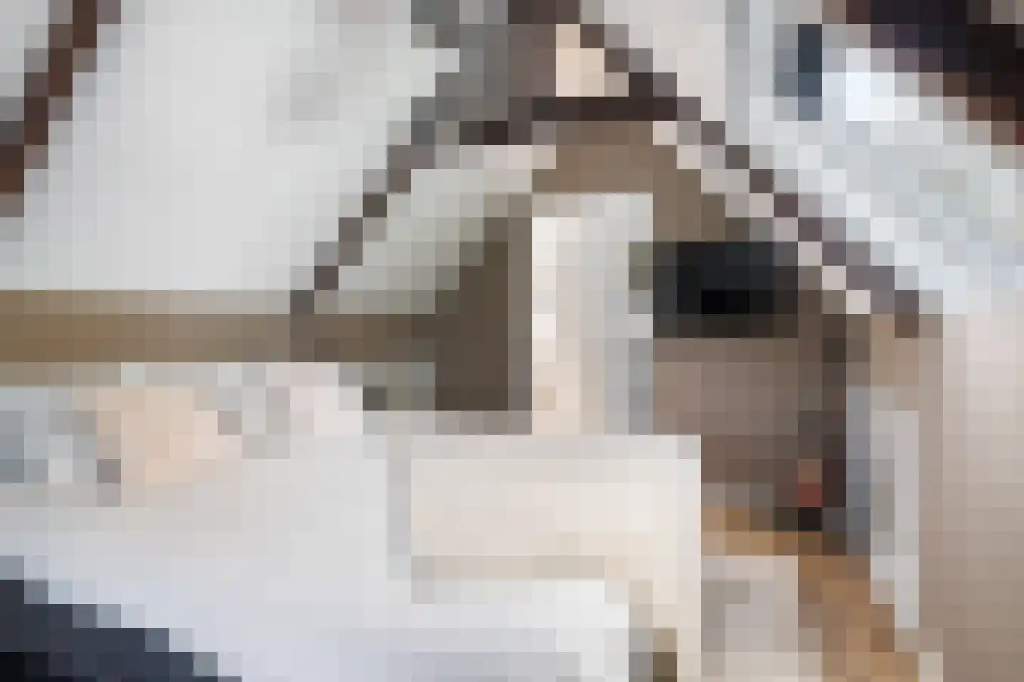 Meenteweg 42 Schildwolde thumbnail 54