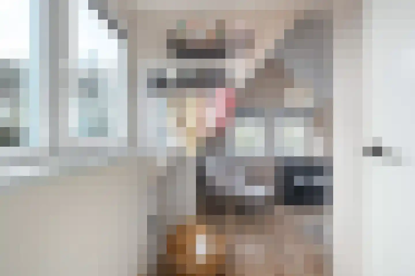 Meenteweg 42 Schildwolde thumbnail 60