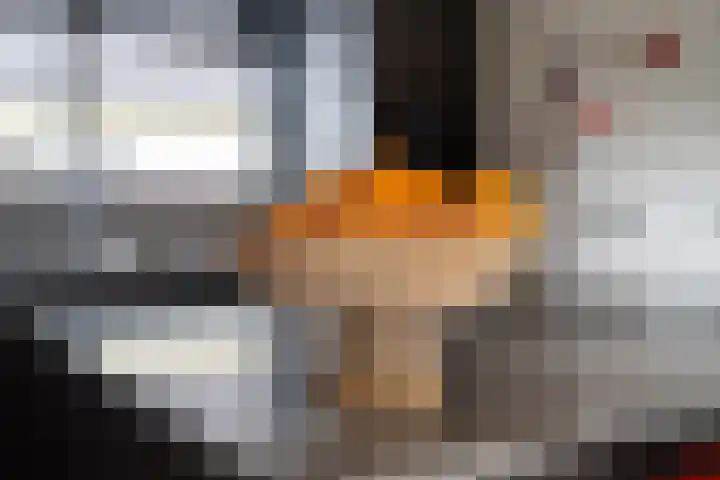 Meenteweg 75 Schildwolde thumbnail 20