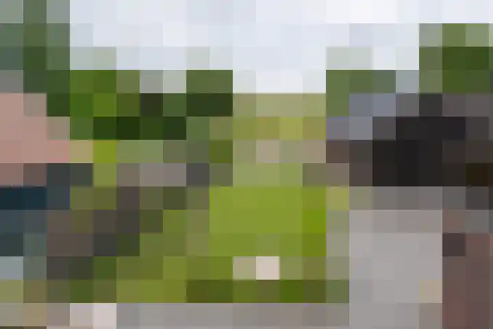 Meenteweg 75 Schildwolde thumbnail 32