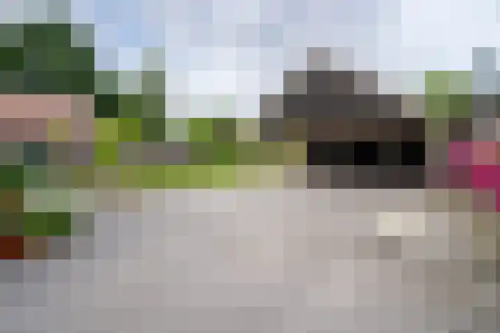 Meenteweg 75 Schildwolde thumbnail 33