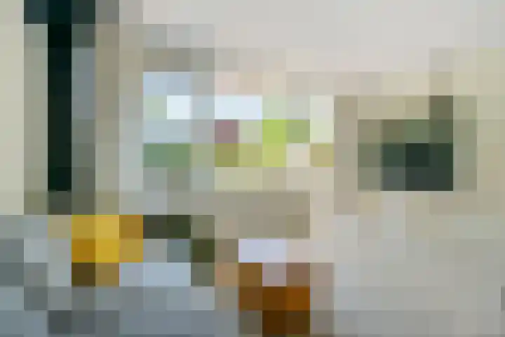Meenteweg 75 Schildwolde thumbnail 40