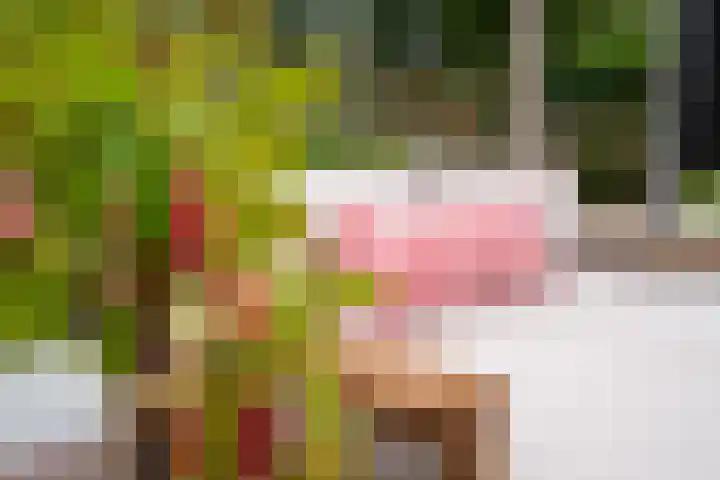 Meenteweg 75 Schildwolde thumbnail 43
