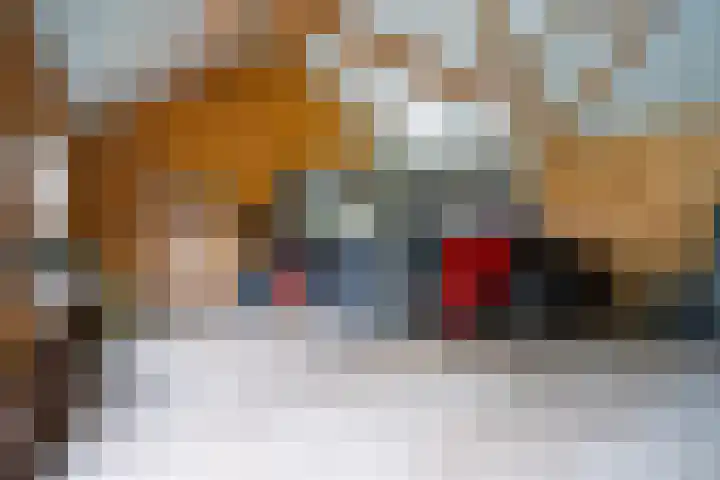 Meenteweg 75 Schildwolde thumbnail 49