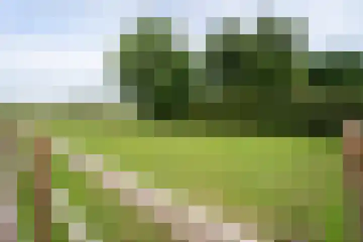 Meenteweg 75 Schildwolde thumbnail 52