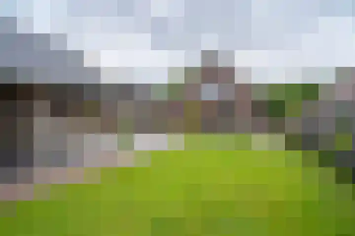 Meenteweg 75 Schildwolde thumbnail 57