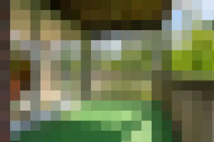 Meenteweg 75 Schildwolde thumbnail 6