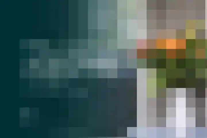 Meenteweg 75 Schildwolde thumbnail 7