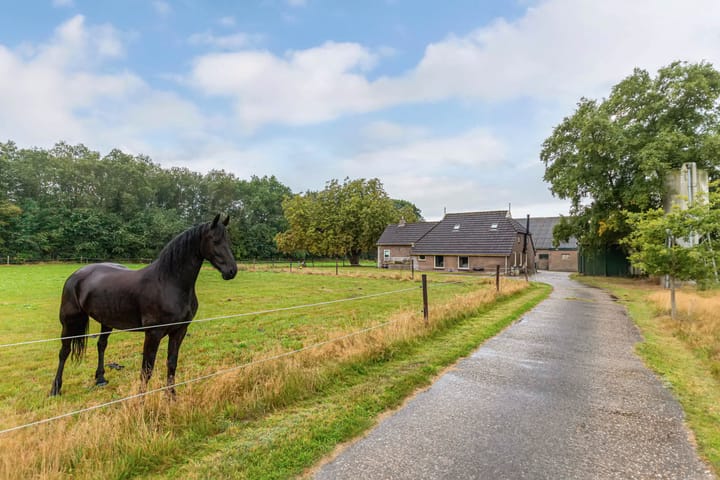 Meentheweg 13 in Noordwolde foto