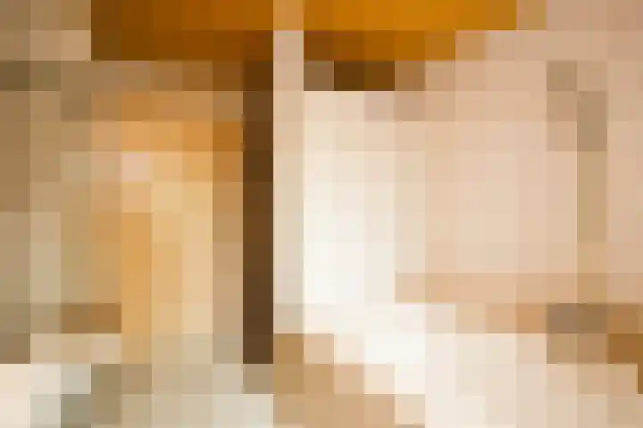 Meentweg 112 De Meern thumbnail 24