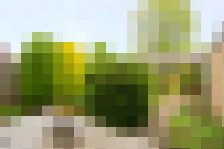 Meentweg 112 De Meern thumbnail 34